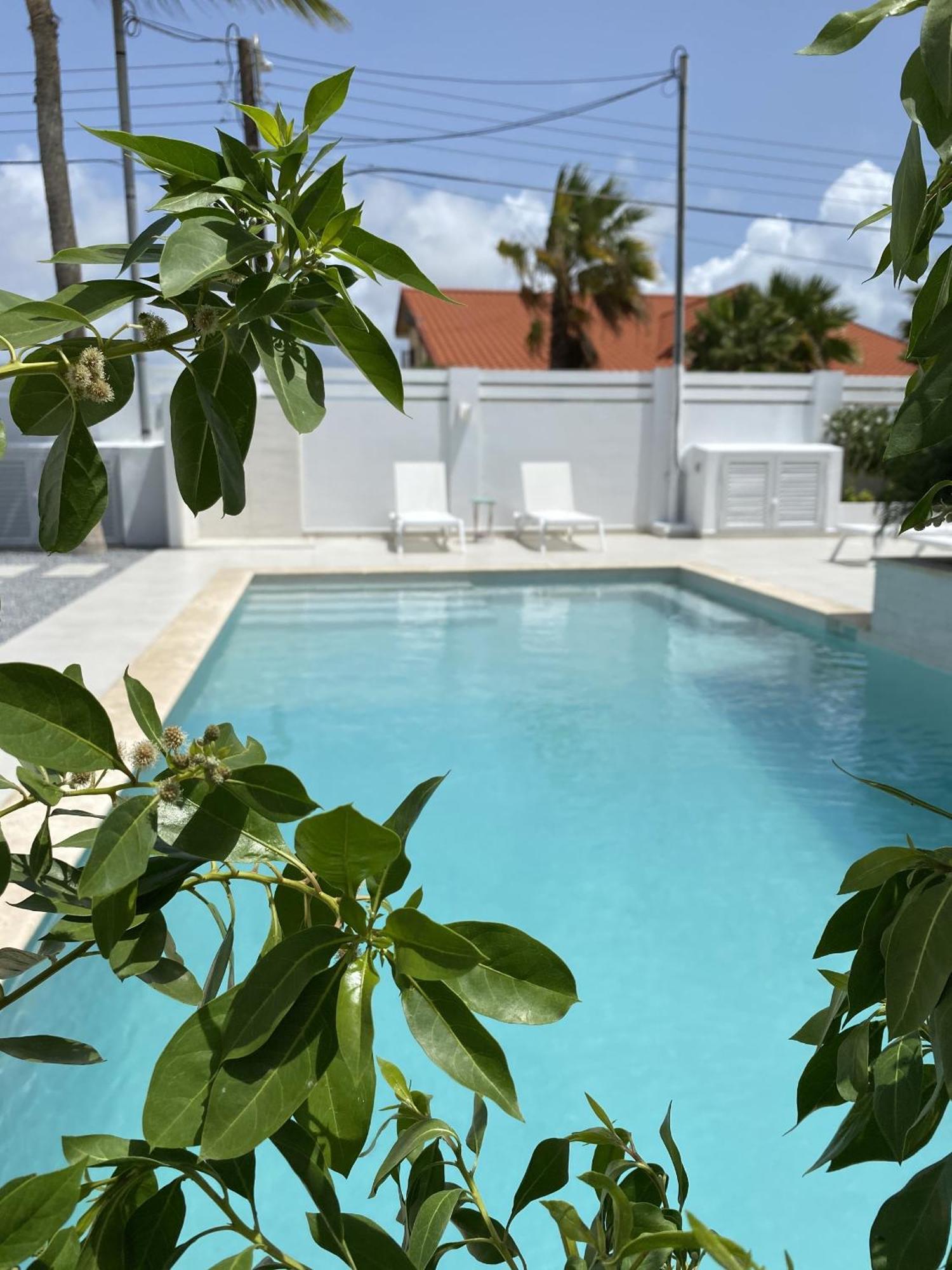 Movida Inn Aruba Παλμ Μπιτς Δωμάτιο φωτογραφία