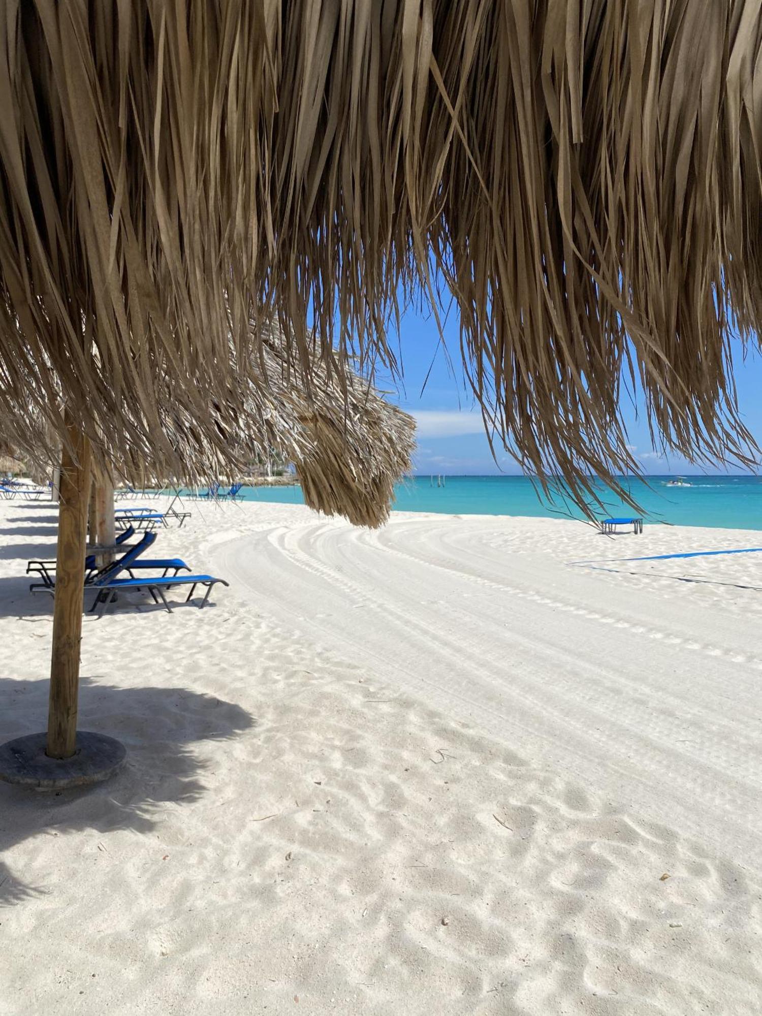 Movida Inn Aruba Παλμ Μπιτς Δωμάτιο φωτογραφία